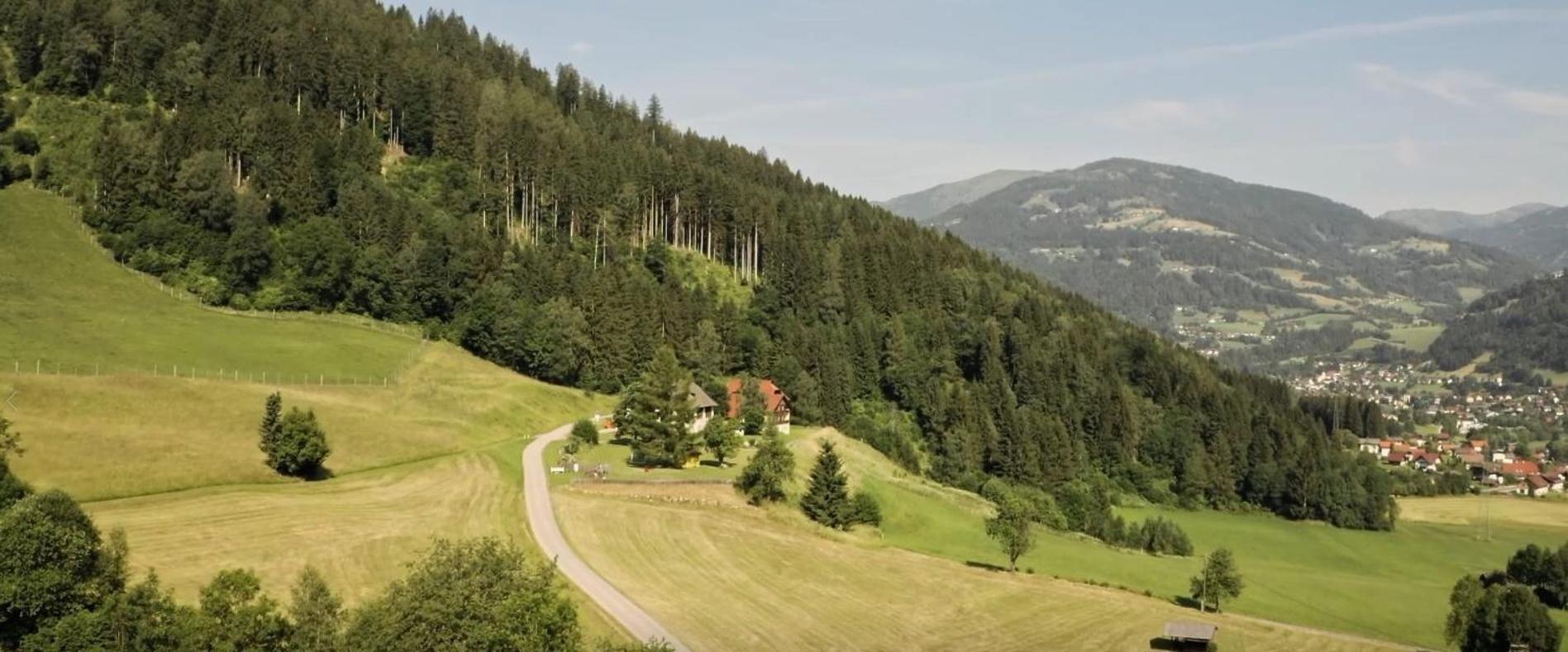 Gasthof Thurnerhof Untertweng Esterno foto